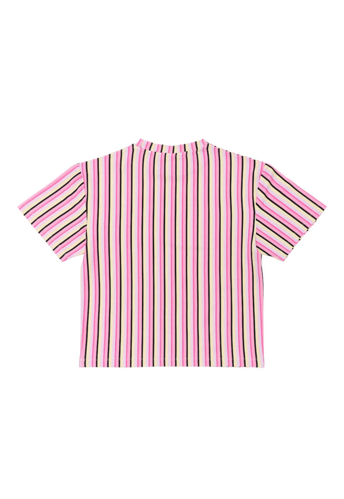 Salty stripe tee