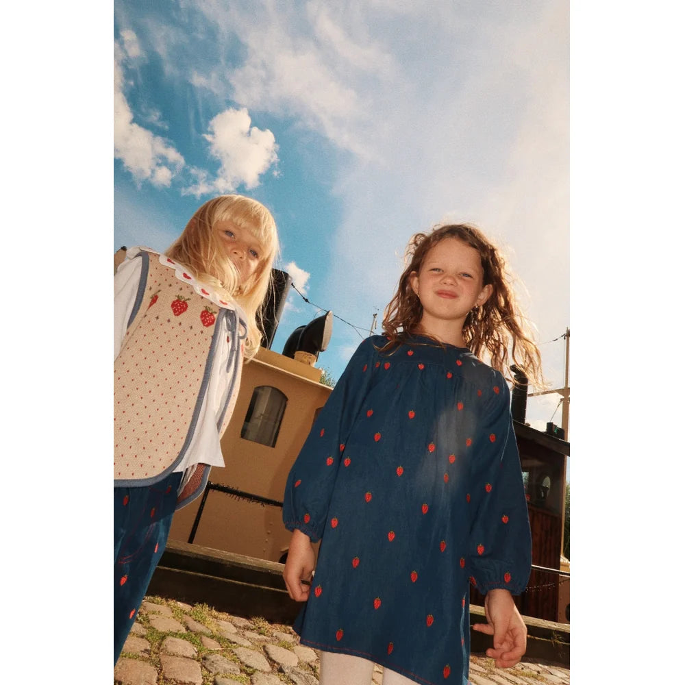 Amee dress