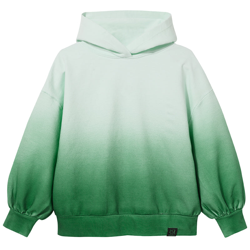 Oversized hoodie green ombré