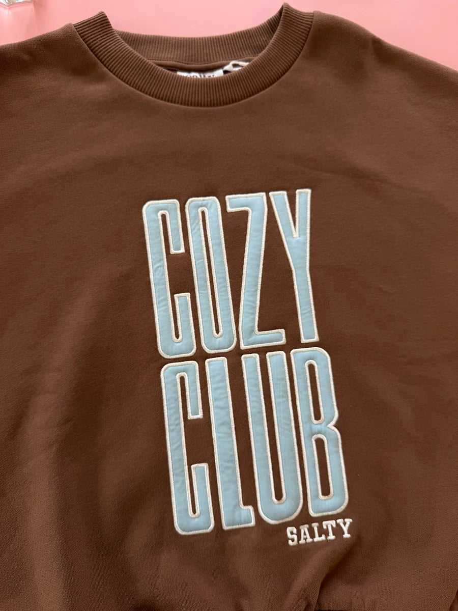 Cozy club brown warm sweater