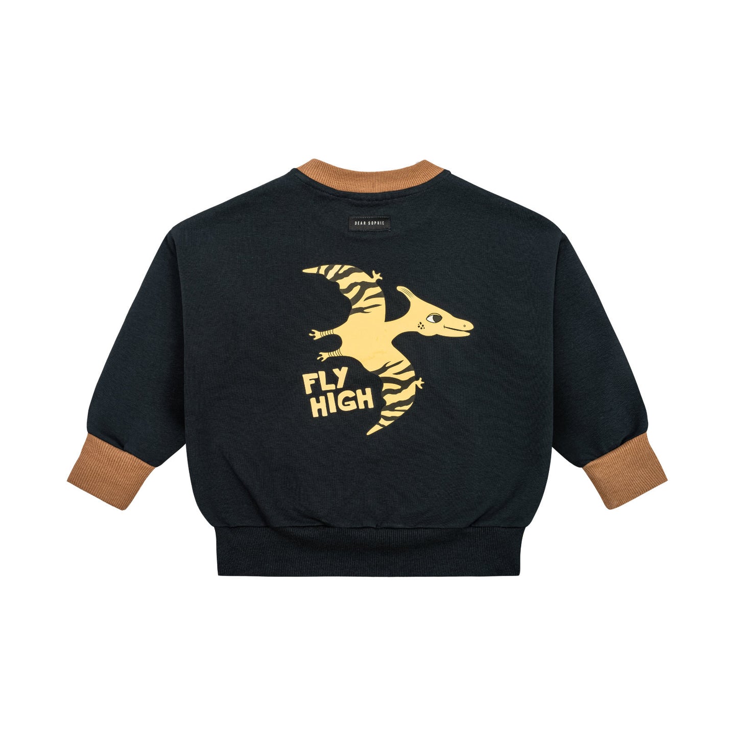 Pterodactyl sweatshirt